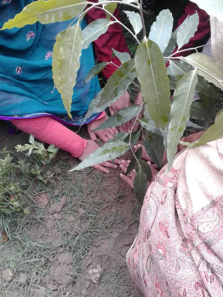 Green Seekers Activity